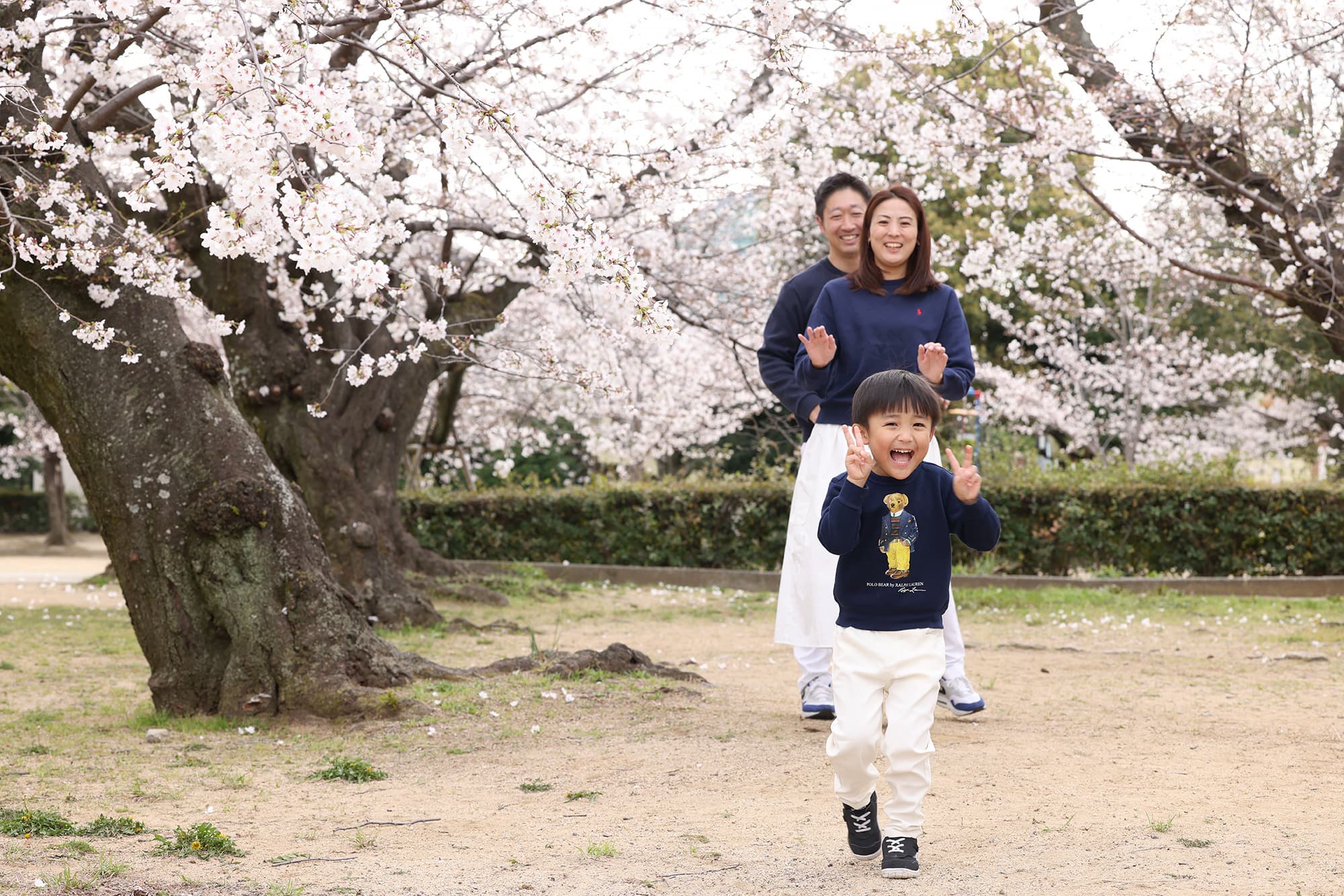 ファミリーフォト　桜フォト